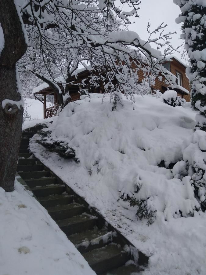 Загородные дома Country House Kosiv Косов-18
