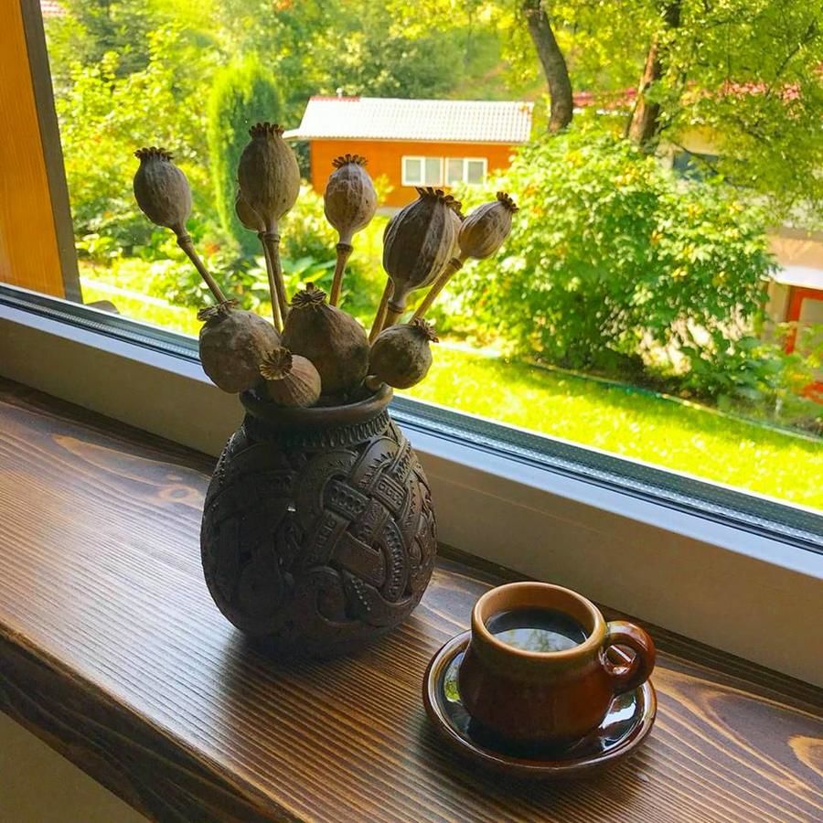 Загородные дома Country House Kosiv Косов-7