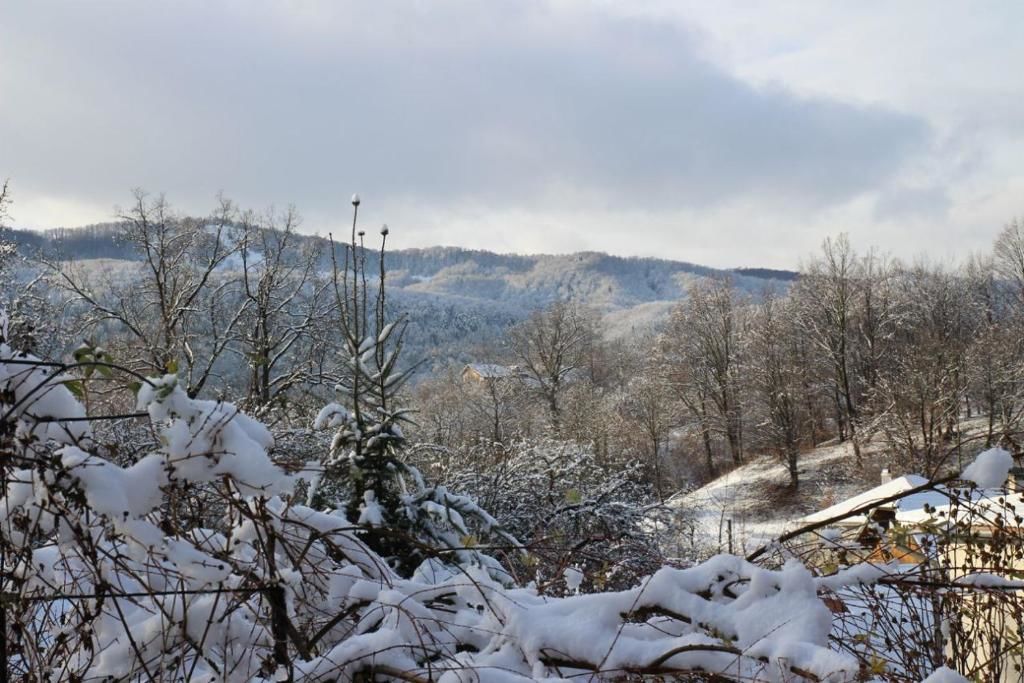 Загородные дома Country House Kosiv Косов-50