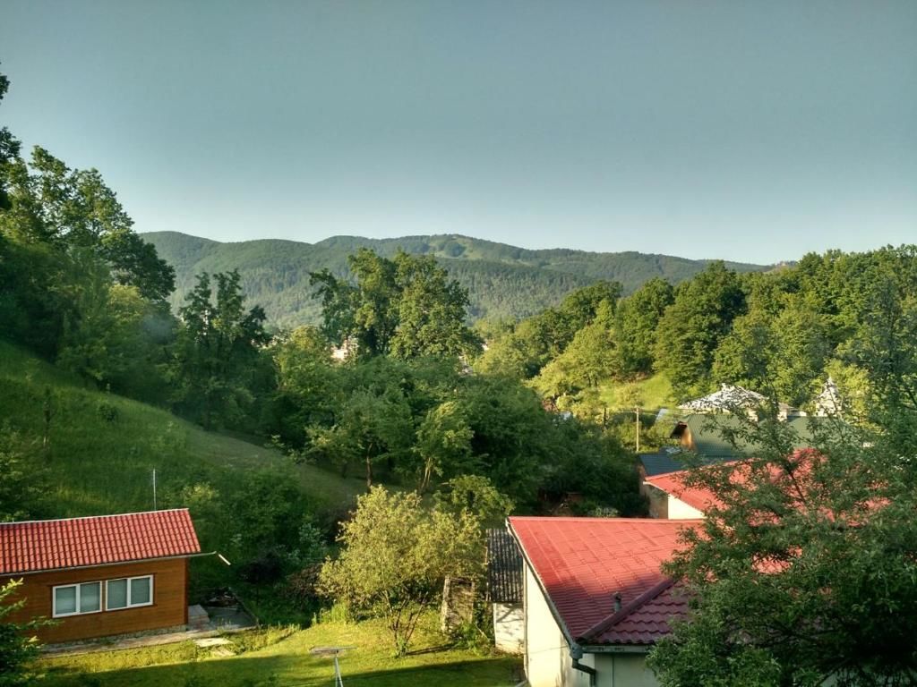 Загородные дома Country House Kosiv Косов-58