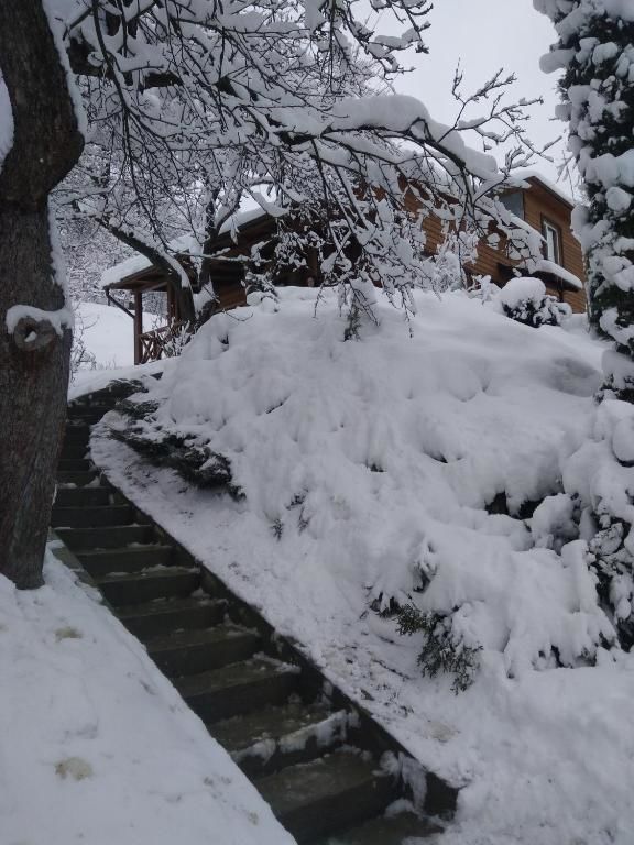Загородные дома Country House Kosiv Косов-87